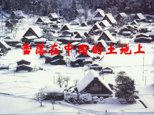 《诗歌部分第五单元 苦难的琴音精读雪落在中国的土地上课件》高中语文人教版选修 中国现代诗歌散文欣赏10