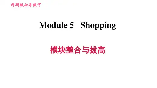 外研版(新标准)英语七年级下册Module 5 Shopping模块整合与拔高练习