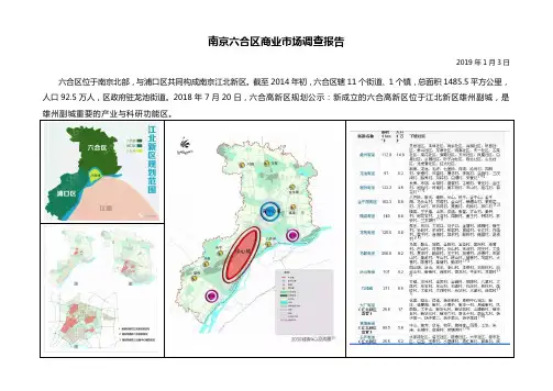 南京六合区商业市场调查报告(20190103)