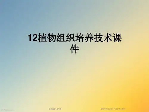 植物组织培养技术课件