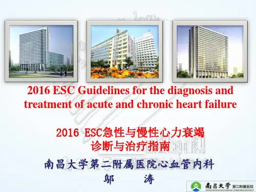 2016ESC心衰指南---邬涛