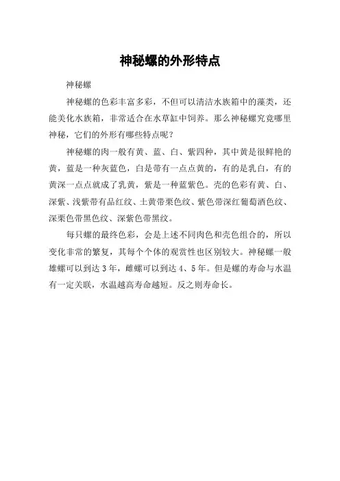 神秘螺的外形特点