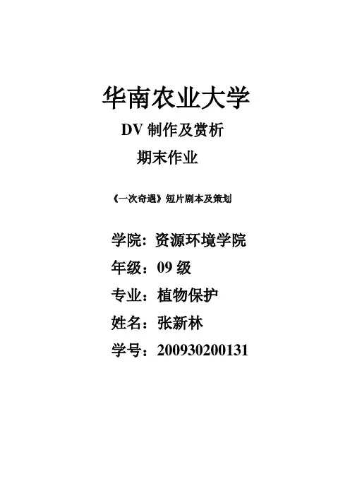 DV制作及赏析