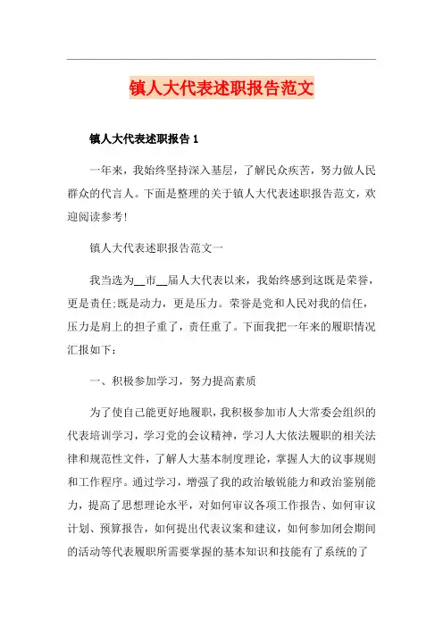 镇人大代表述职报告范文