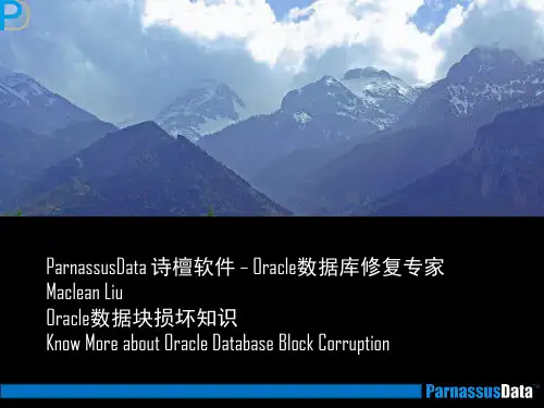 Oracle数据块损坏知识