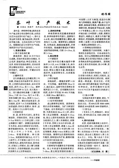 茶叶生产技术