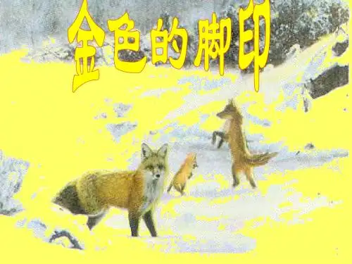 24课金色的脚印