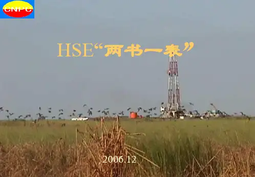HSE两书一表概述