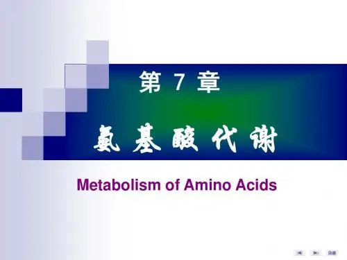 第07章氨基酸代谢 6