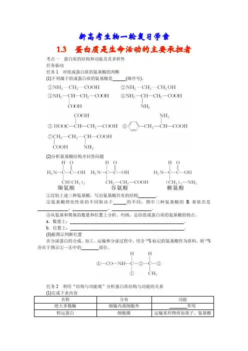 新高考生物一轮复习学案：1-3 蛋白质是生命活动的主要承担者