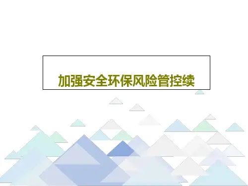 加强安全环保风险管控续共44页文档