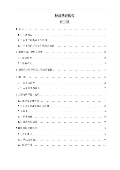 地质勘查报告