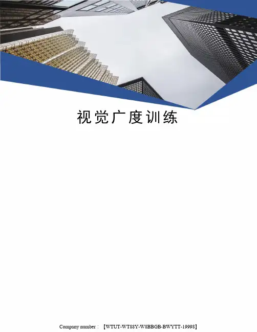 视觉广度训练