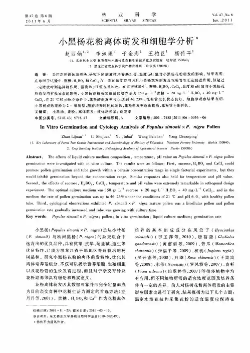 小黑杨花粉离体萌发和细胞学分析