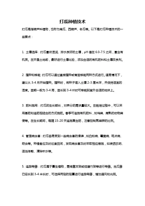 打瓜种植技术