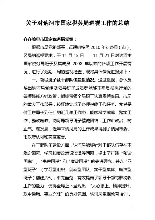 关于对讷河市国家税务局巡视工作的总结