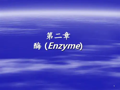 酶 Enzymeppt课件