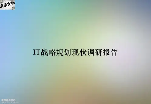 IT战略规划现状调研报告