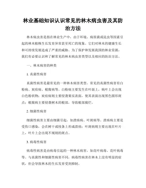 林业基础知识认识常见的林木病虫害及其防治方法