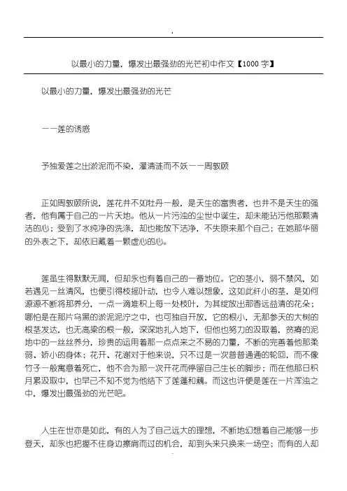 以最小的力量,爆发出最强劲的光芒 初中作文【1000字】