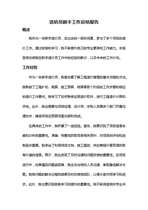 造价员新手工作总结报告