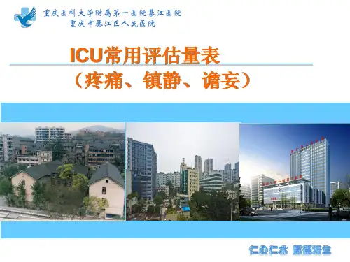 ICU常用评估工具(疼痛、镇静、谵妄)(徐智会)
