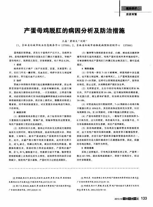 产蛋母鸡脱肛的病因分析及防治措施