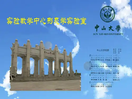 组织常规HE染色