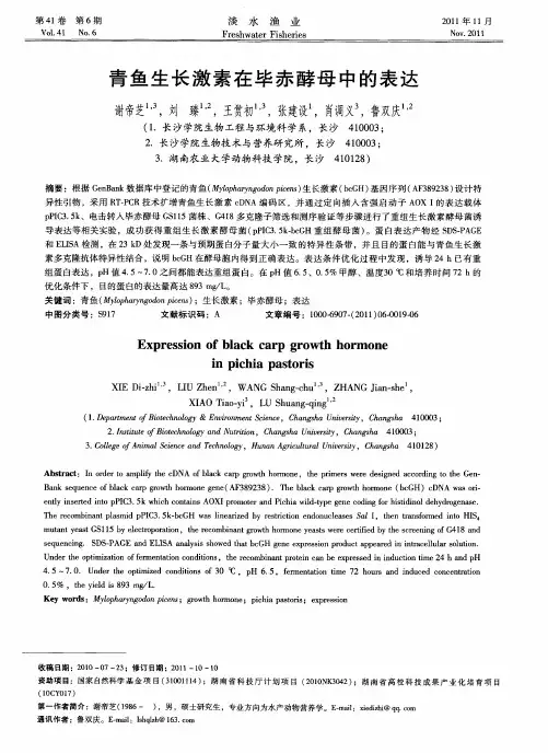 青鱼生长激素在毕赤酵母中的表达