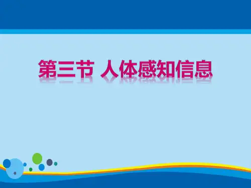 《人体的感知信息》PPT【精选推荐课件】