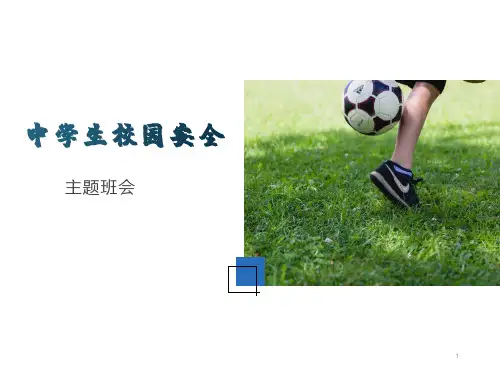校园安全主题班会课件(A)