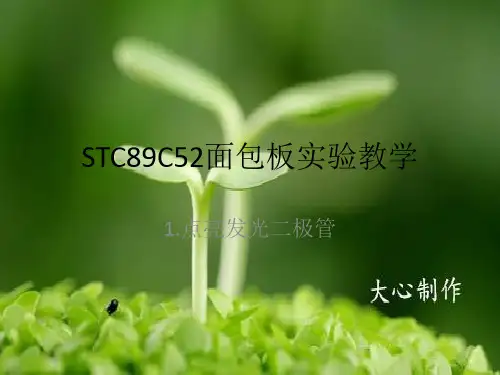 一,单片机点亮发光二极管
