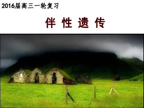 伴性遗传(2016届高三生物一轮复习)ppt课件