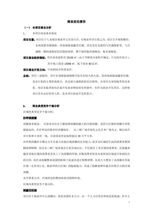 商业定位报告