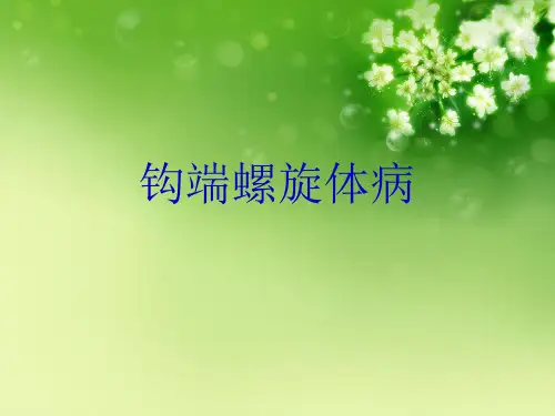 钩端螺旋体病优秀课件