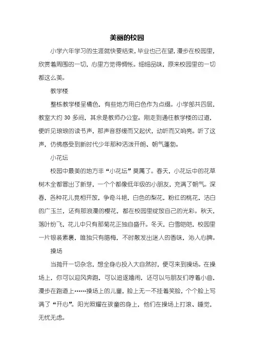 六年级作文：美丽的校园作文开头