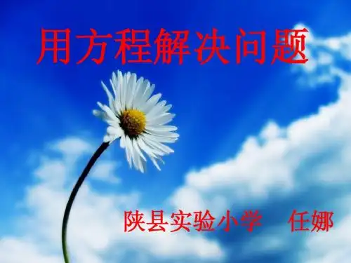 用方程解决问题