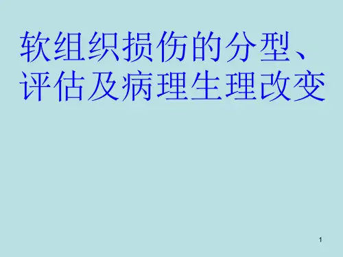 软组织损伤的分型评估及病理生理改变ppt课件