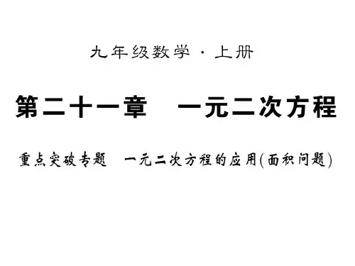 专题3 面积问题