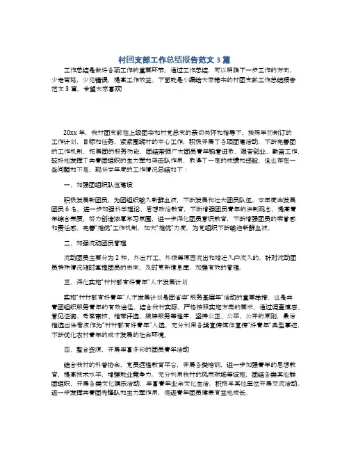 村团支部工作总结报告范文3篇