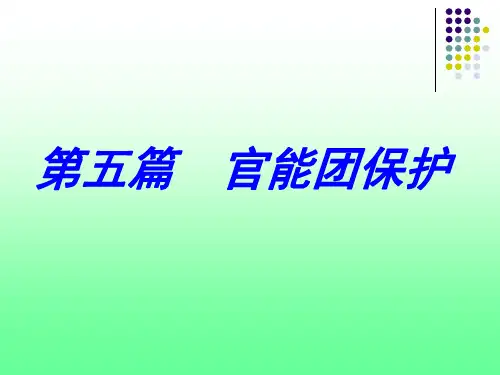 第五篇_基团保护