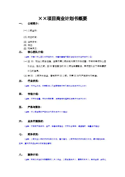 项目商业计划书概要