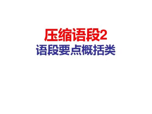 2015压缩语段之概括主要信息