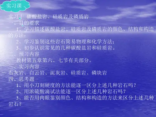实习十沉积岩