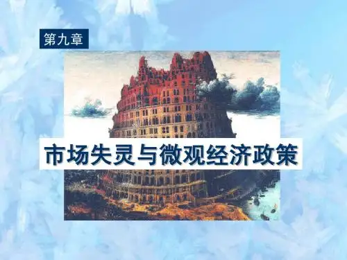 微观经济学课件 11加总复习
