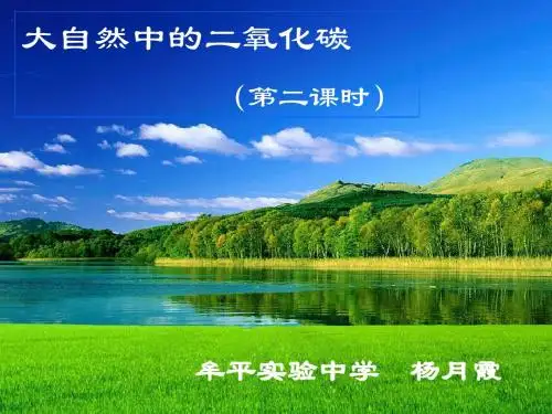 大自然中的二氧化碳2课件