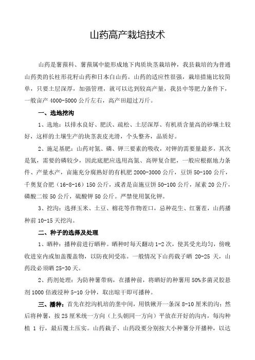 山药高产栽培技术