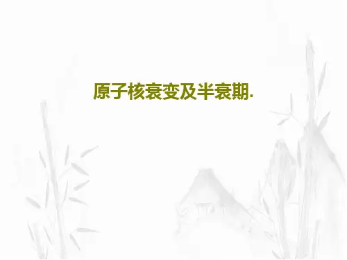 原子核衰变及半衰期.65页PPT