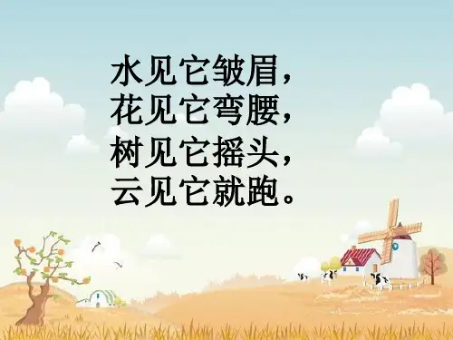 4、风向和风速
