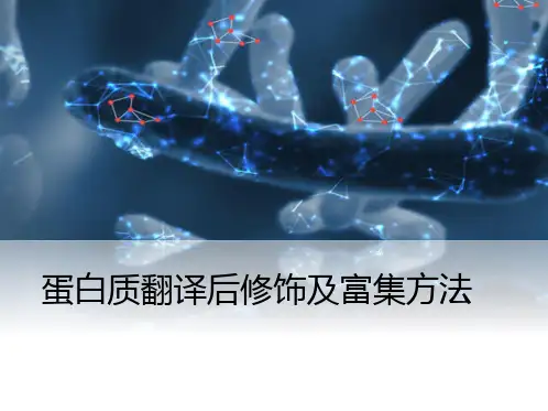 蛋白质翻译后修饰及富集方法